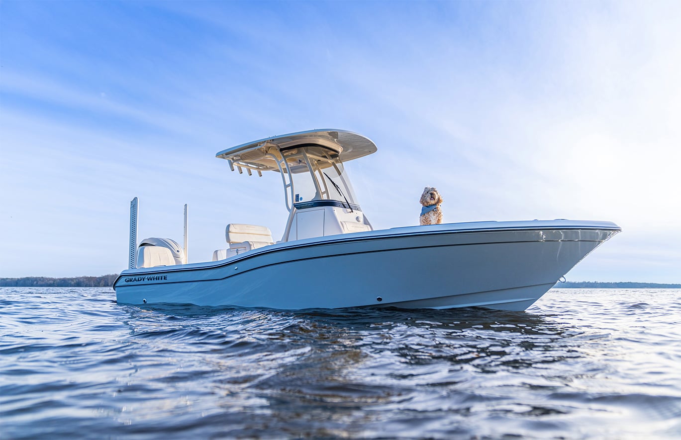 231 Coastal Explorer